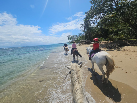 Ride The Rainforest-旧港必去景点