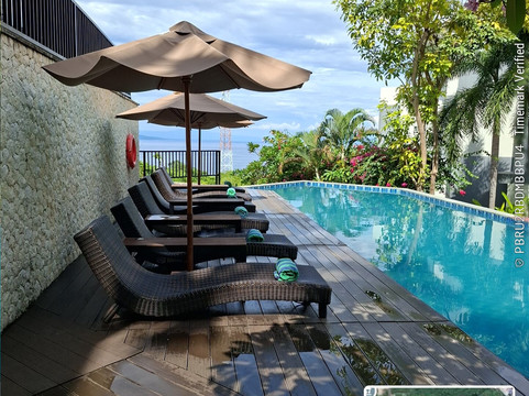 卢武克瑞士贝尔旅店主图