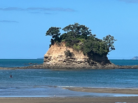 Browns Bay Beach-布朗斯湾必去景点