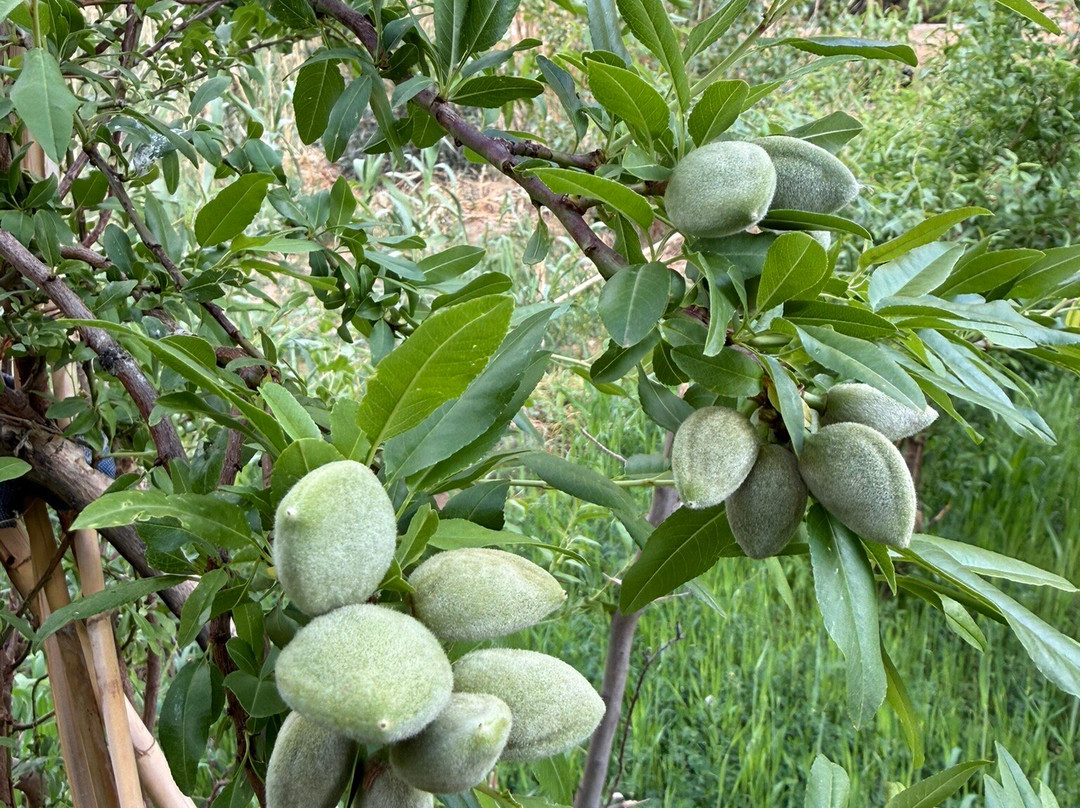 Abdel - Guide Randonnees a Tinghir-廷吉尔必去景点