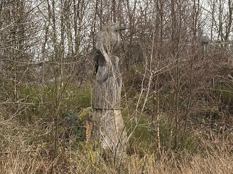 Beacon Fell Country Park-Goosnargh必去景点
