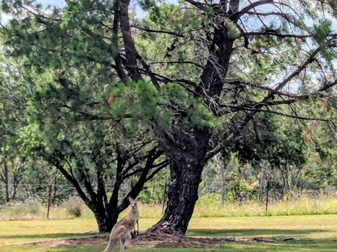 Harkham Wines-波高尔宾必去景点
