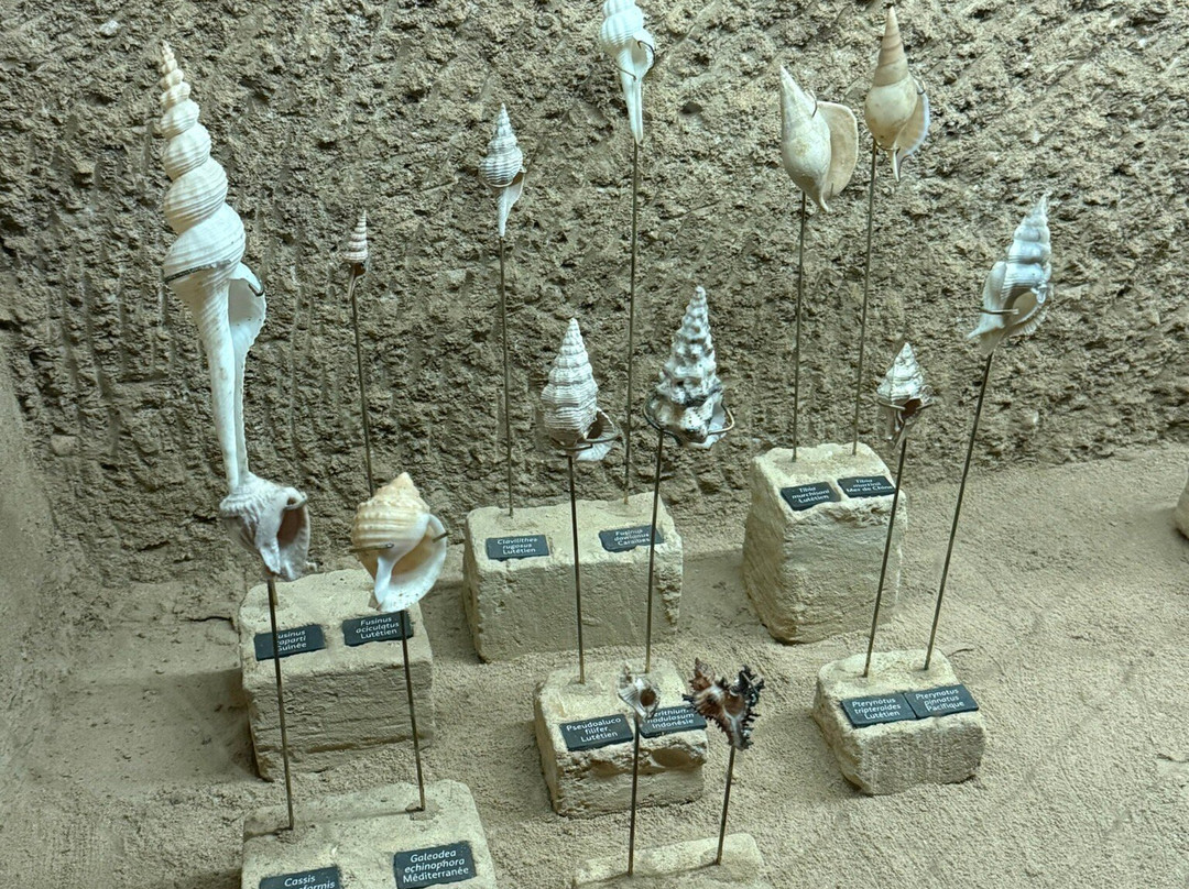 La Cave Aux Coquillages-Fleury-la-Riviere必去景点