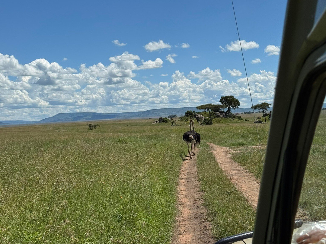 Sereland Africa Safaris-Sakina必去景点