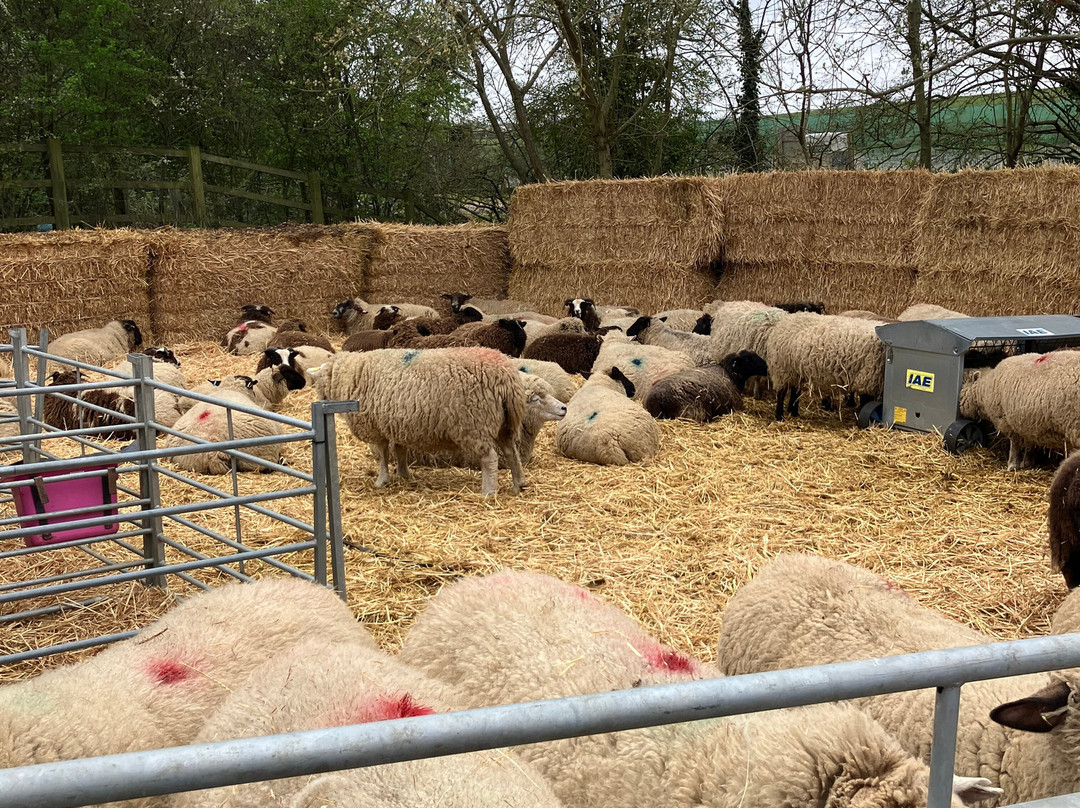 Foxholes Farm Shop & Butchery-Hertford必去景点