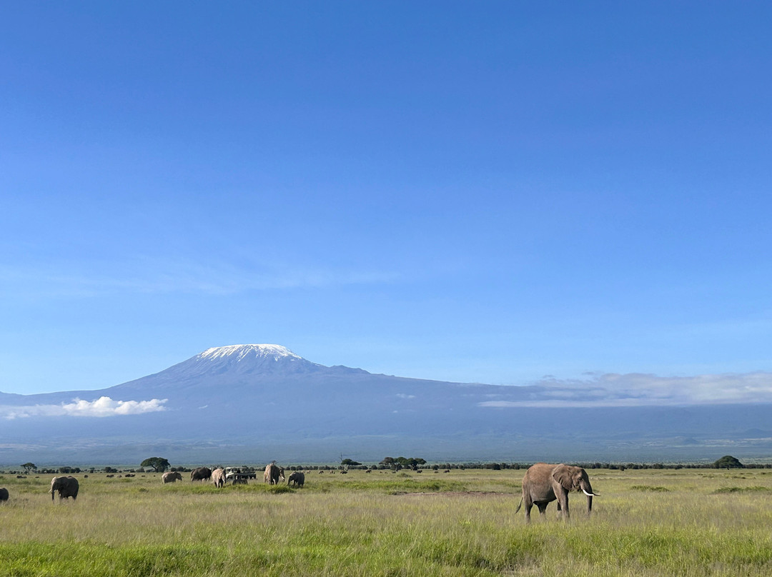 Focus East Africa Tours Ltd-坎帕拉必去景点