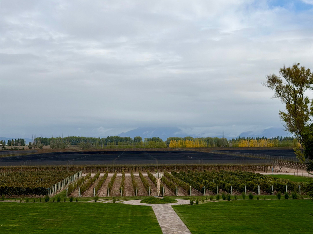 Adora Mendoza-门多萨必去景点