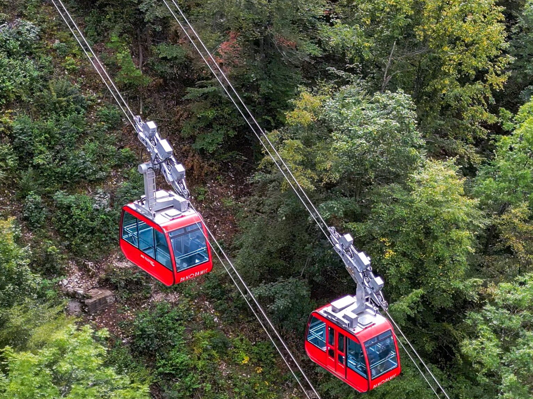 Tampa Cable Car-布拉索夫必去景点