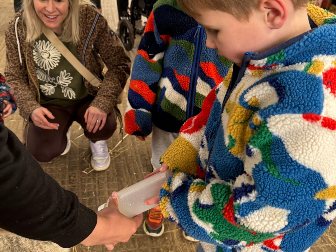 Court Farm Country Park-Banwell必去景点