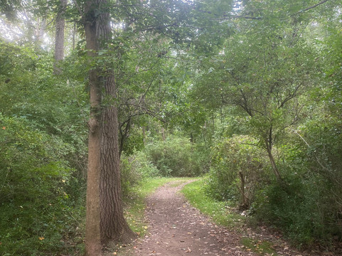 Cascade Valley Park-阿克伦必去景点