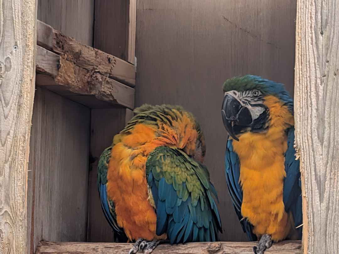 鸟园-水上伯顿必去景点