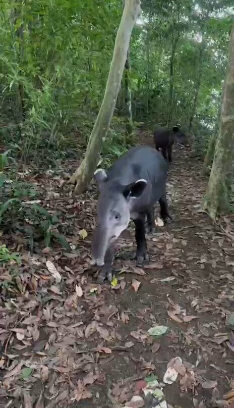 Surcos Tours-希门尼斯港必去景点