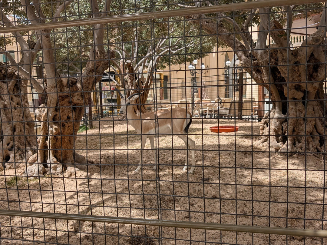 AlHazm-多哈必去景点