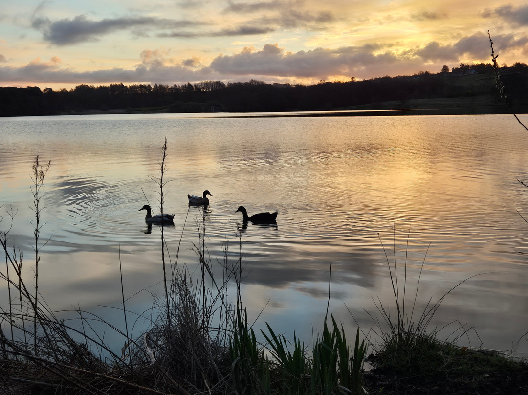 Talkin Tarn Park-卡莱尔必去景点