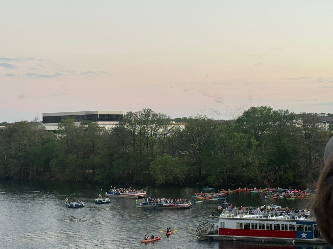 Congress Avenue Bridge Bat Watching-奥斯丁必去景点