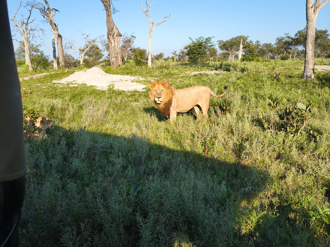 The African Wild-马翁必去景点