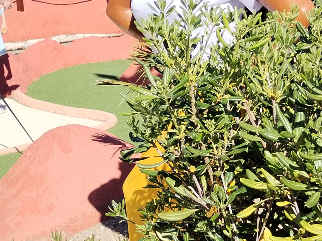 Tahiti Mini Golf-Le Barcares必去景点