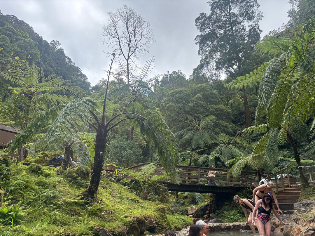 Centro de Interpretação Ambiental Caldeira Velha-大里贝拉必去景点