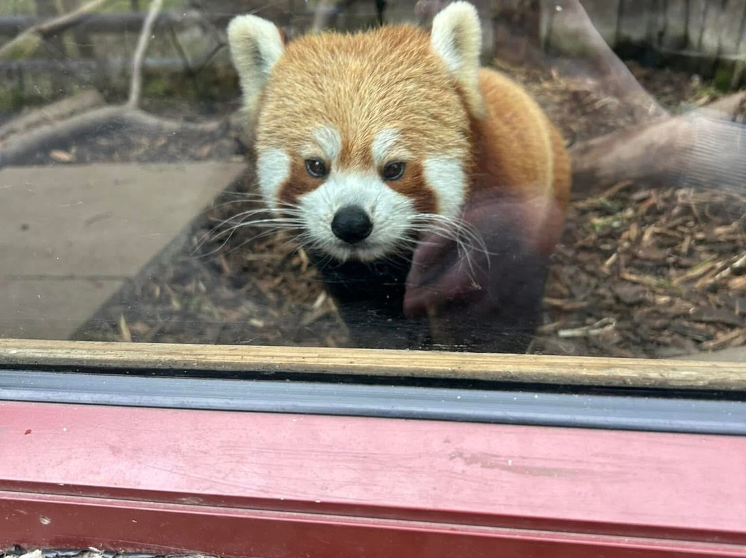 Five Sisters Zoo-West Calder必去景点