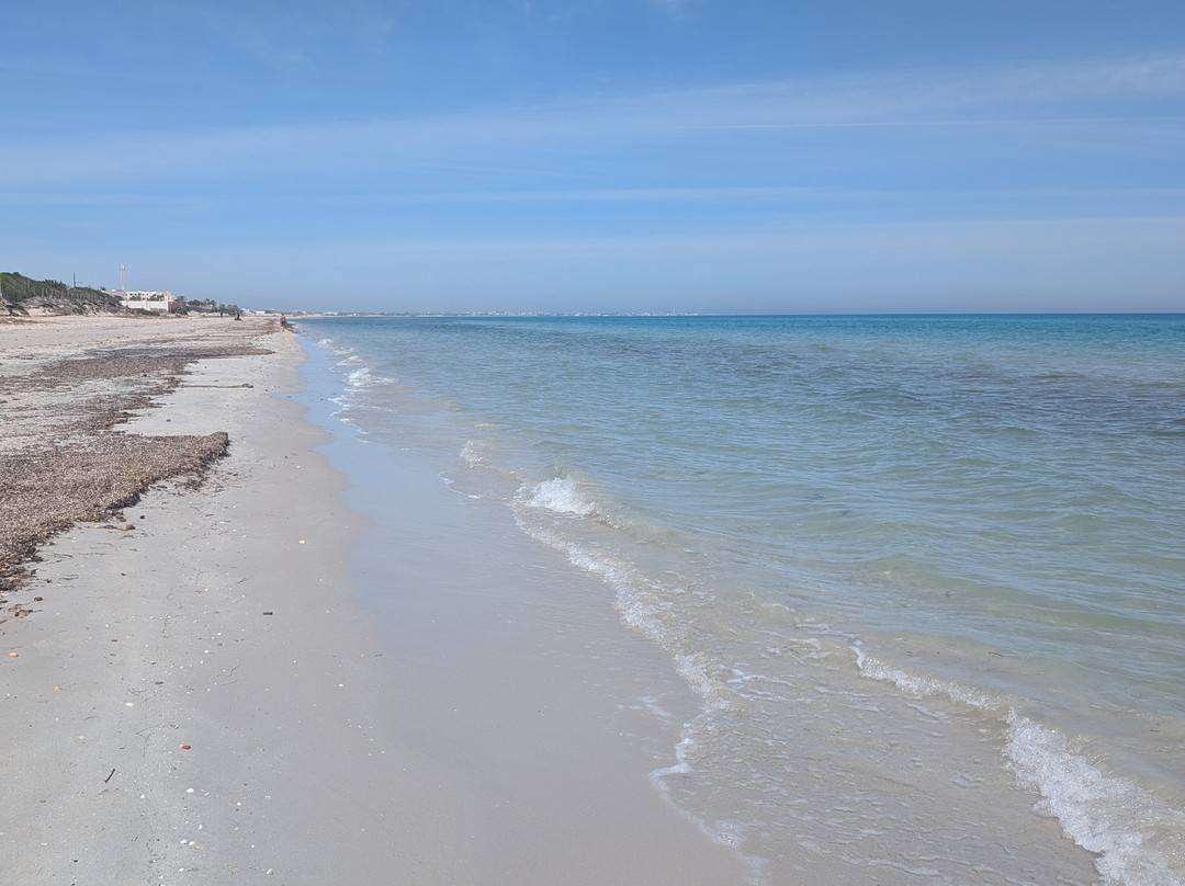 努尔海水浴皇宫度假酒店主图