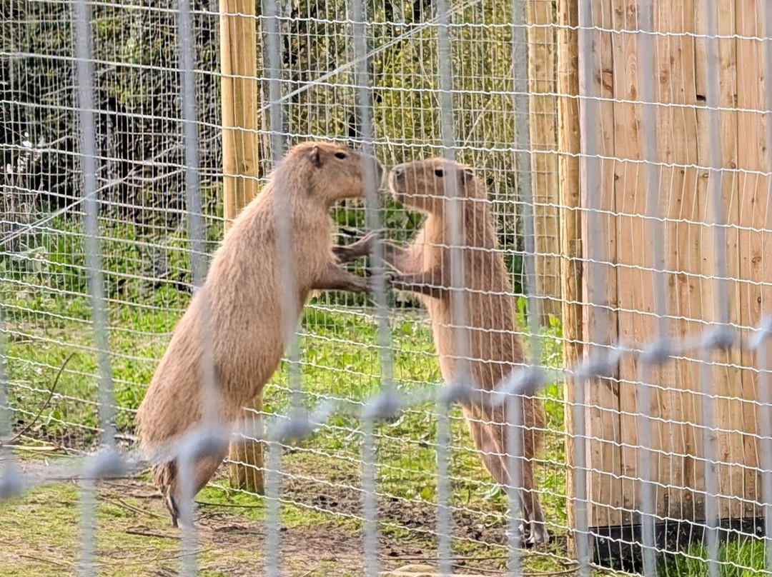 Peak Wildlife Park-Winkhill必去景点