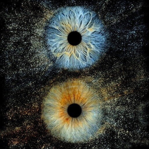 Iris Galerie Sluis-斯勒伊斯必去景点