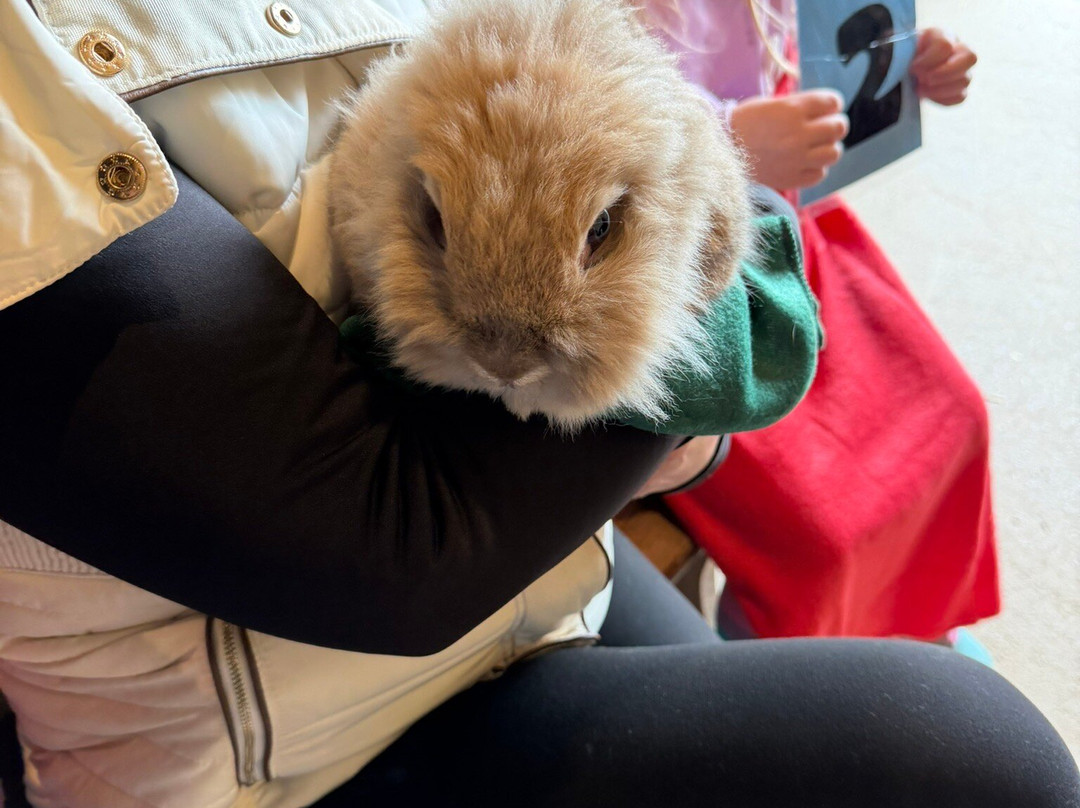 Pennywell Farm-Buckfastleigh必去景点