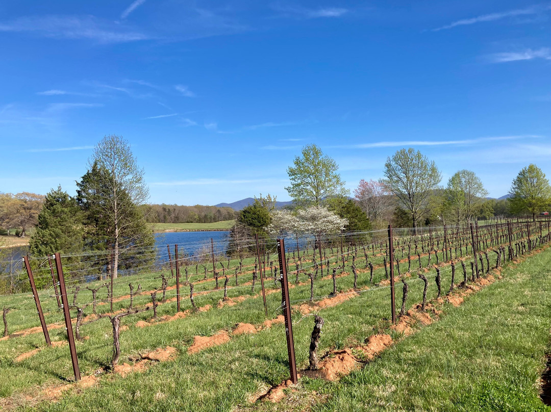 Afton Mountain Vineyards-Afton必去景点
