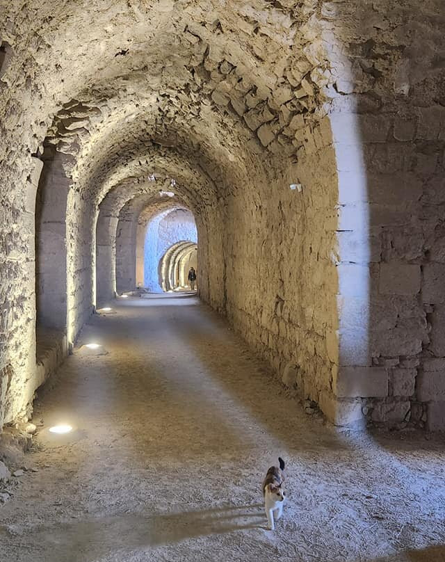 Karak Castle-Karak必去景点