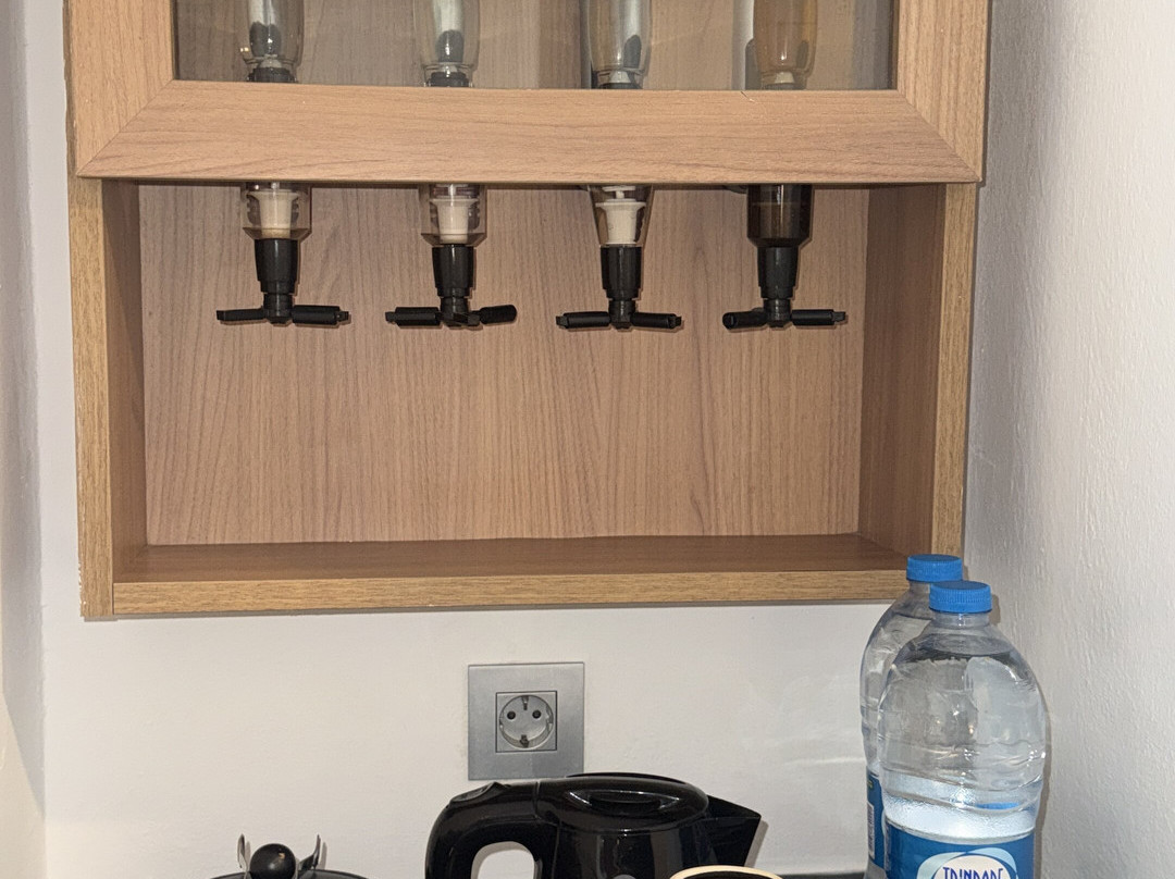 丽笙宫殿酒店博阿维斯塔 - 全包主图