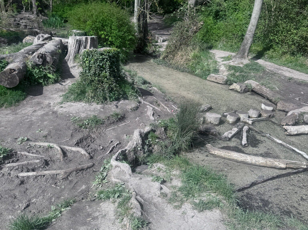Barton Springs-Barton-le-Clay必去景点