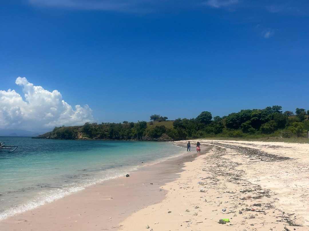 Pink Beach Lombok-罗威那海滩必去景点