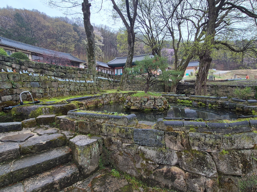 Ansimsa Daeungjeon-清州市必去景点