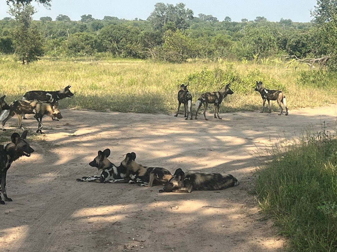 Umkumbe Safari Lodge主图