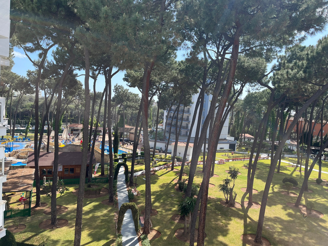 AluaSun Marbella Park主图