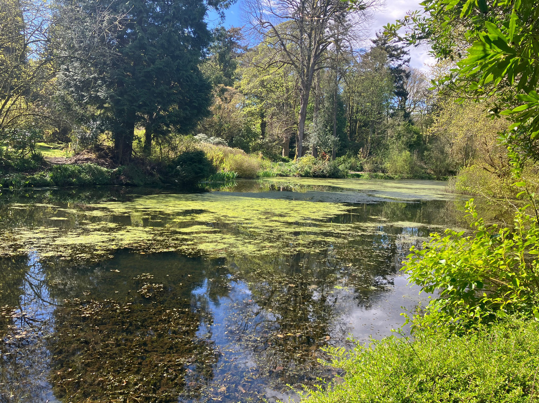 Arbigland House and Gardens-邓弗里斯必去景点