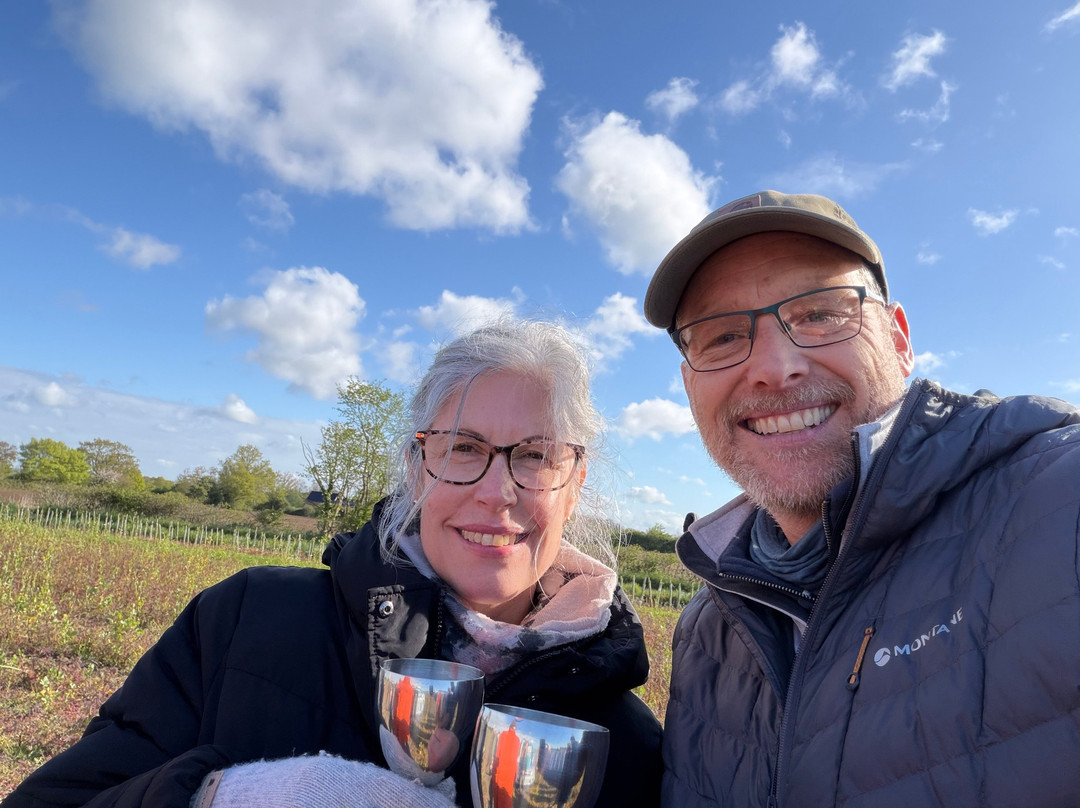 Virgin Balloon Flights - Brome-Brome必去景点