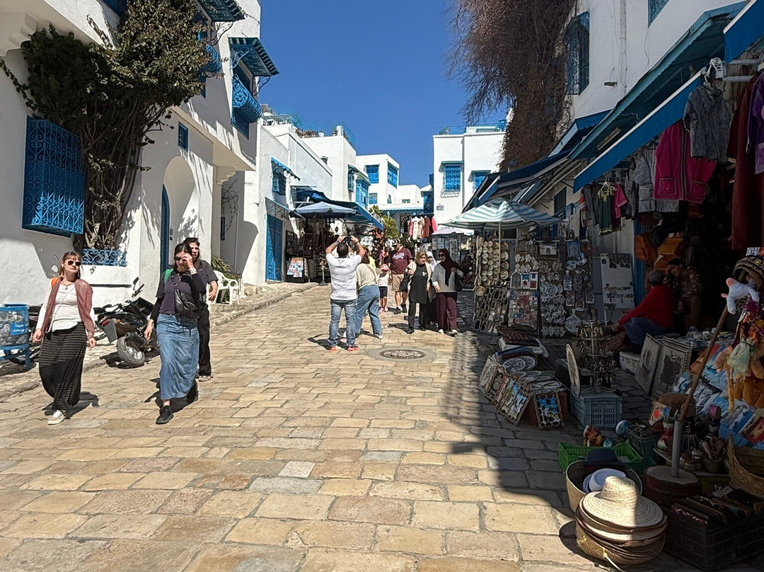 Sidi Bou Said Village-蓝白小镇必去景点