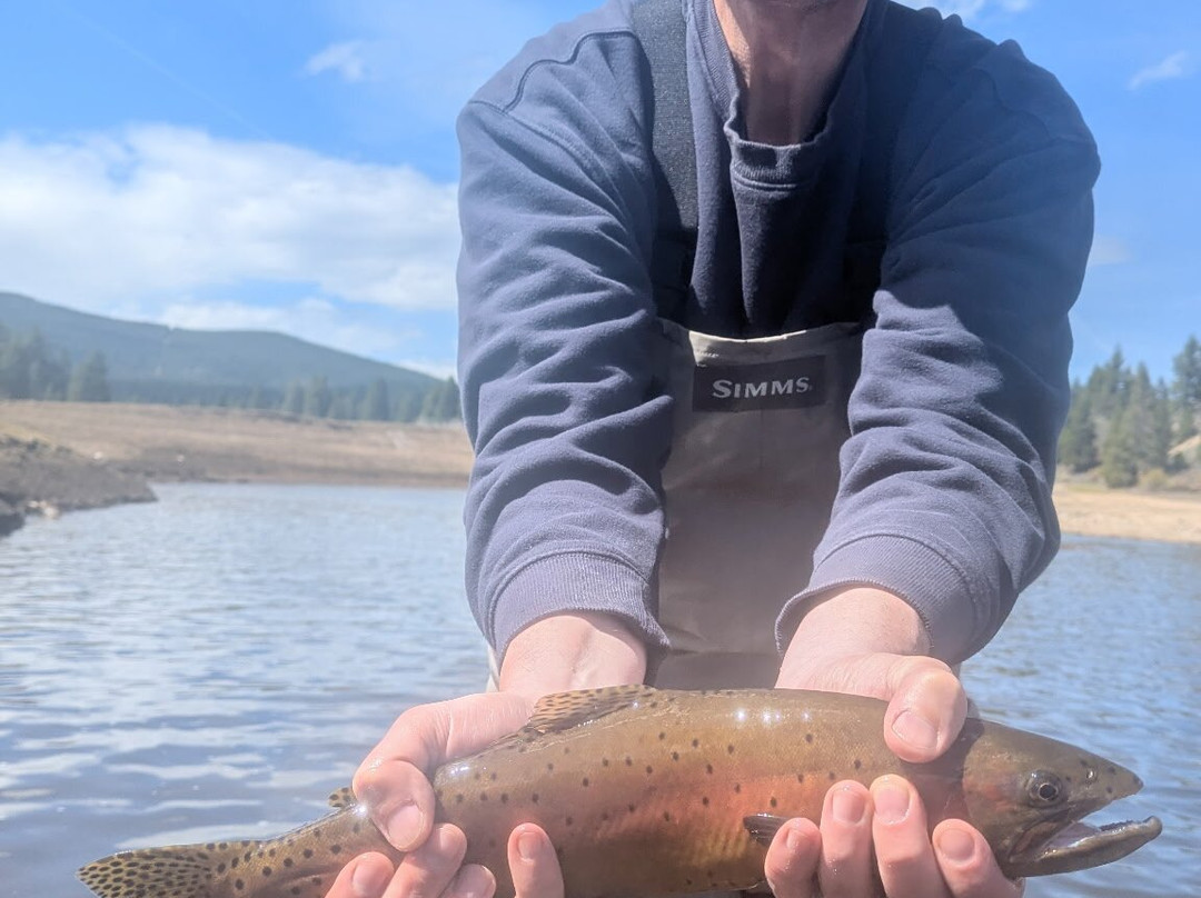 Matt Heron Fly Fishing-奥林匹克谷必去景点
