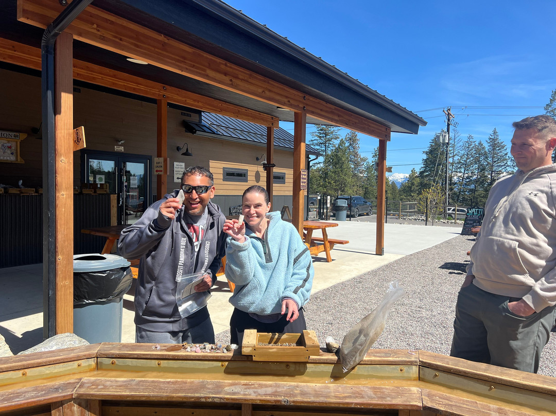 Flathead Lake Alpine Coaster-Lakeside必去景点