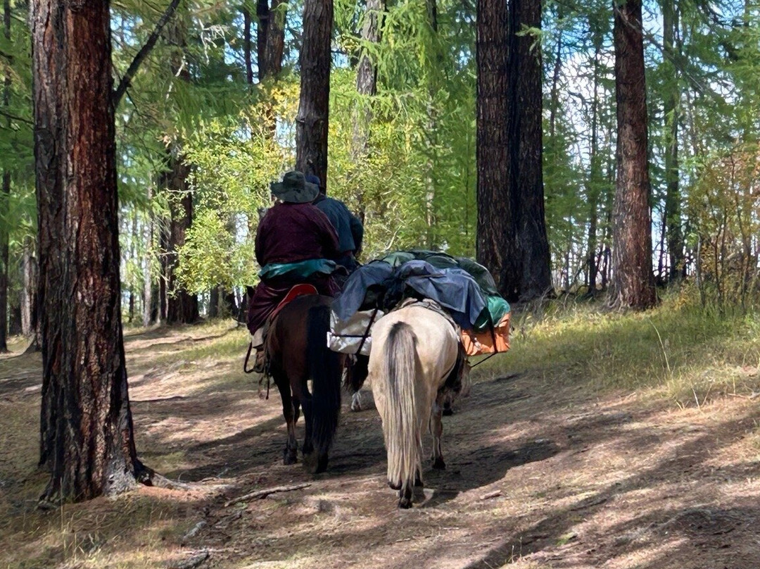 Fat Horse Mongolia-Darhan必去景点