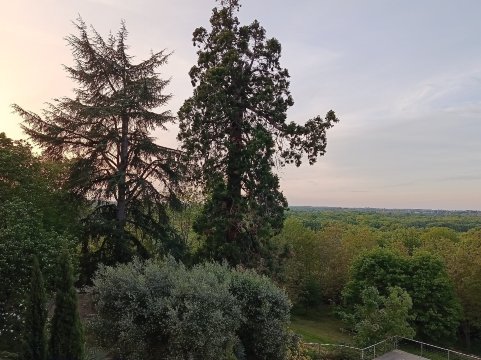 Le Château Des Forges-旅行者