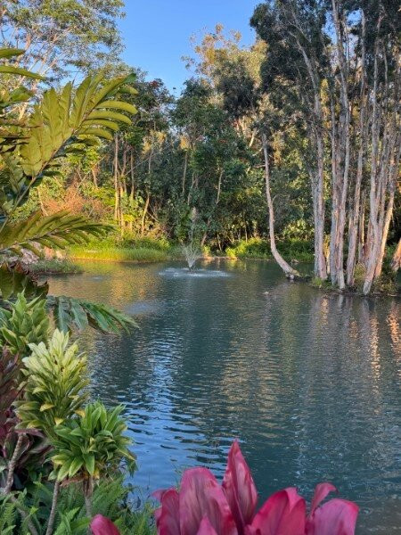 Common Ground Kauai-基拉韦厄必去景点
