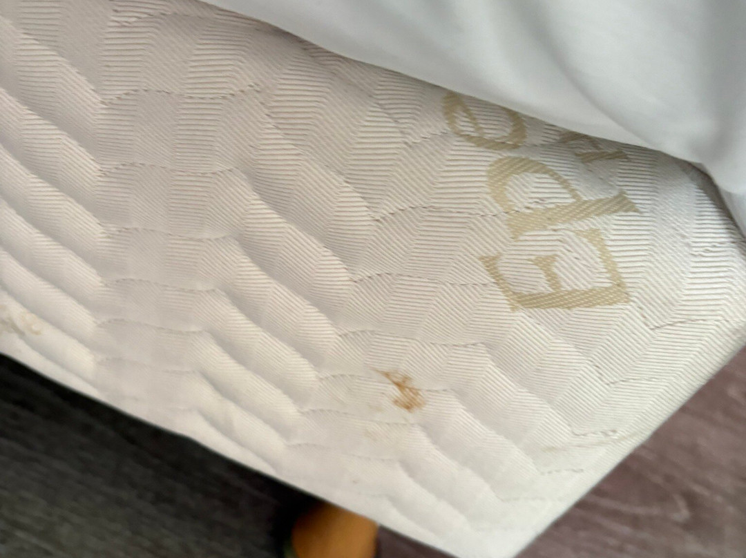 巴黎酒店主图