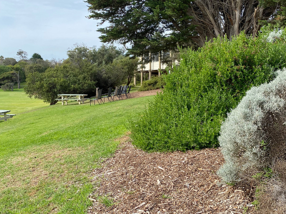 Percy Cerutty Oval (portsea Reserve)-波特西必去景点