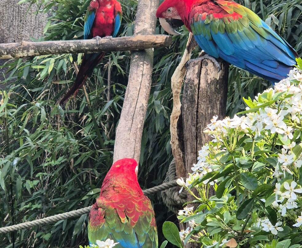 Zoo De Champrepus-Champrepus必去景点