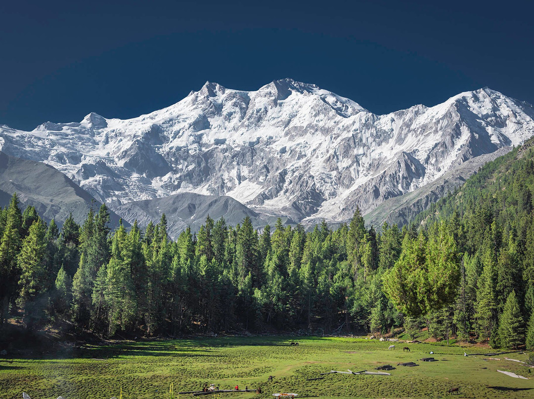 Nanga Parbat-Astore必去景点