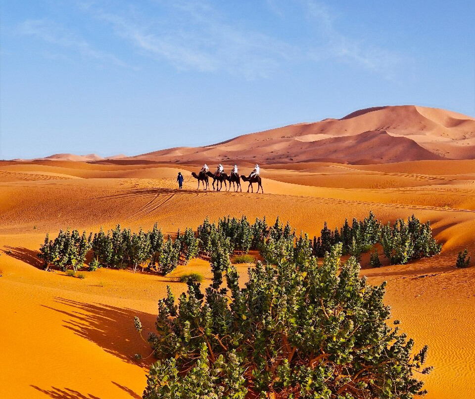 Erg Chebbi Dunes-梅克内斯-塔菲拉勒特区必去景点