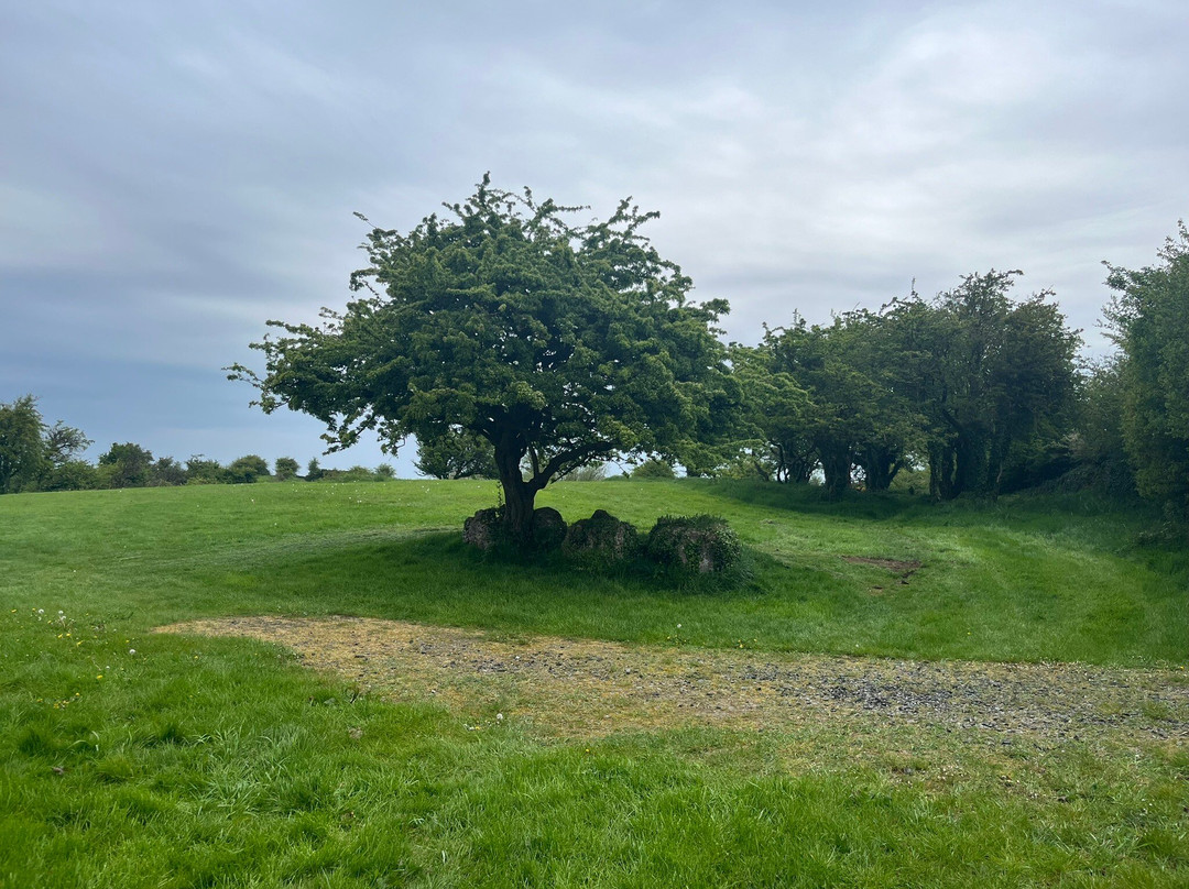 Hill of Uisneach-Killare必去景点