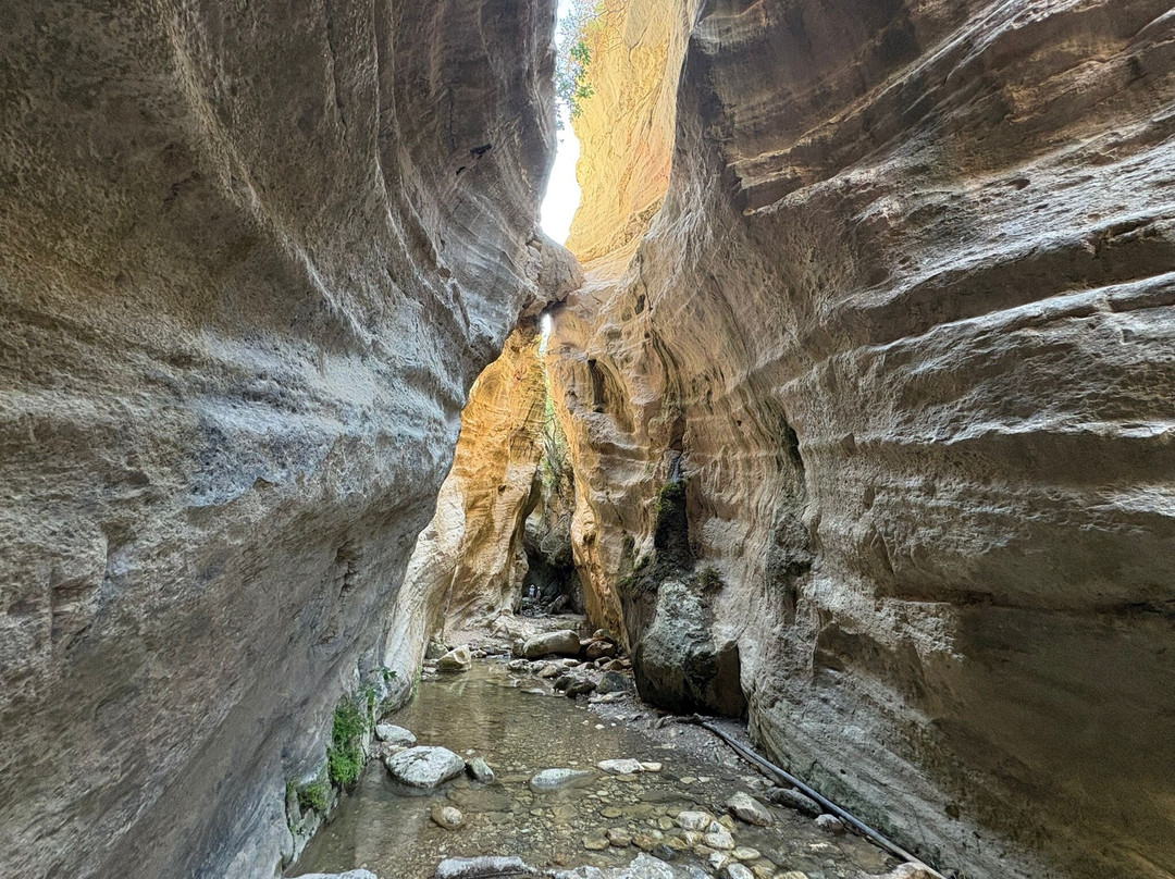 Avakas Gorge-帕福斯必去景点